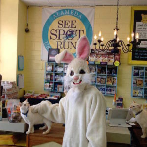 Bunny visits See Spot Run_EasterHunt2017 Bunny visits See Spot Run_EasterHunt2017