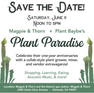 Plant Paradise Event