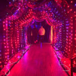 Halloween BlackLight Art Show