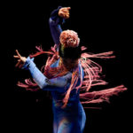 Flamenco a las 8
